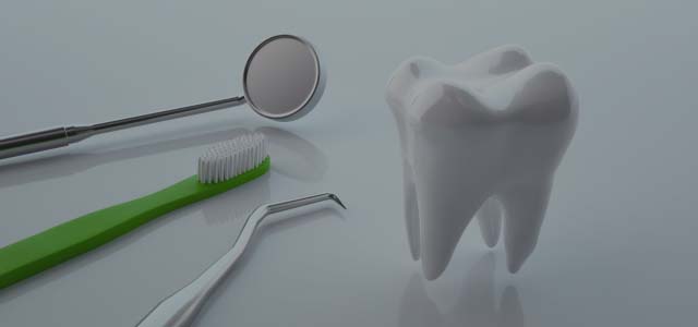 歯ブラシと歯の模型